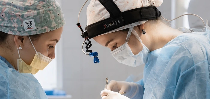 Hair transplant with the DHI method and a Choi pen — operating room at City Medical Centre